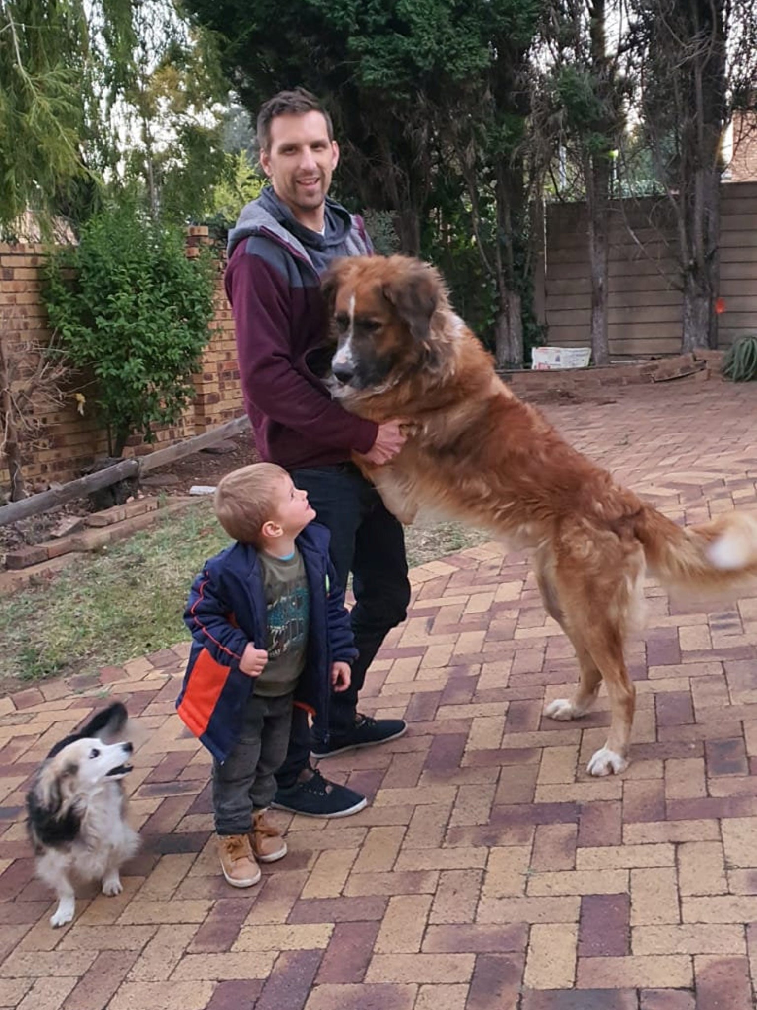 The dog went onto sink his teeth into father Jaco Naudé’s arm when they were putting him into the car