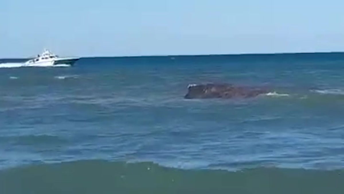 Humpback whale freed from illegal net dies one week later after beaching in Spain