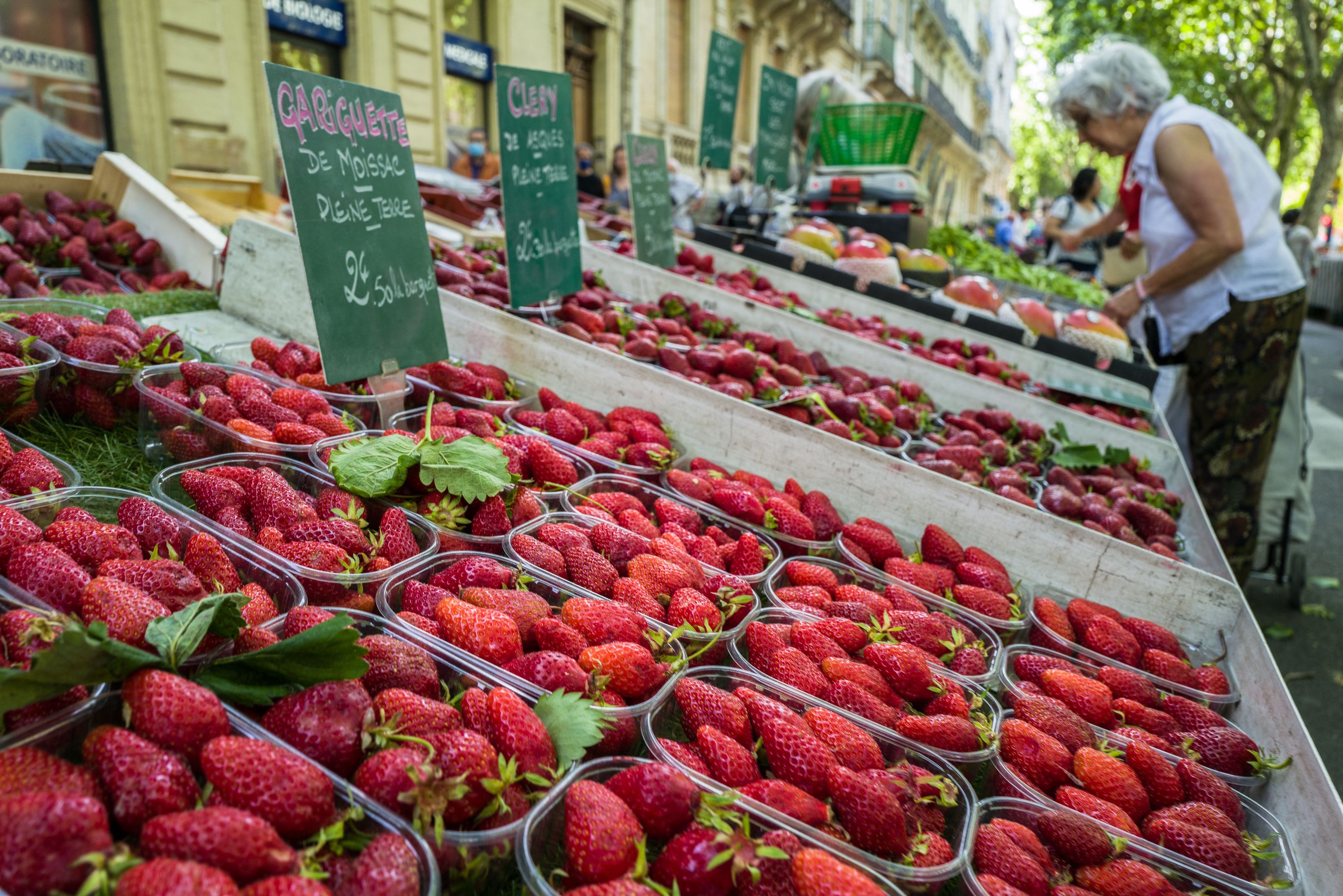 File photo: FDA says cases in California, Minnesota, and Canada report having purchased fresh organic strawberries prior to becoming ill