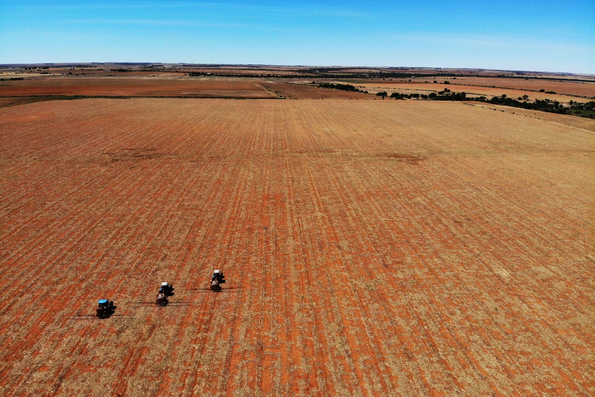 War in Ukraine adds to food price hikes, hunger in Africa