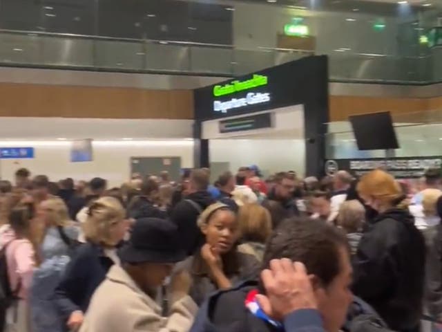 <p>Dublin airport queues were captured on camera this morning</p>