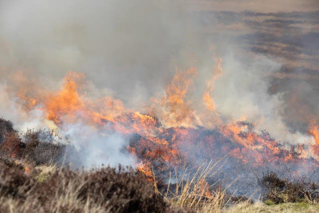 Heather is burned on the peatlands of the North Pennines (Steve Morgan/Greenpeace/PA)