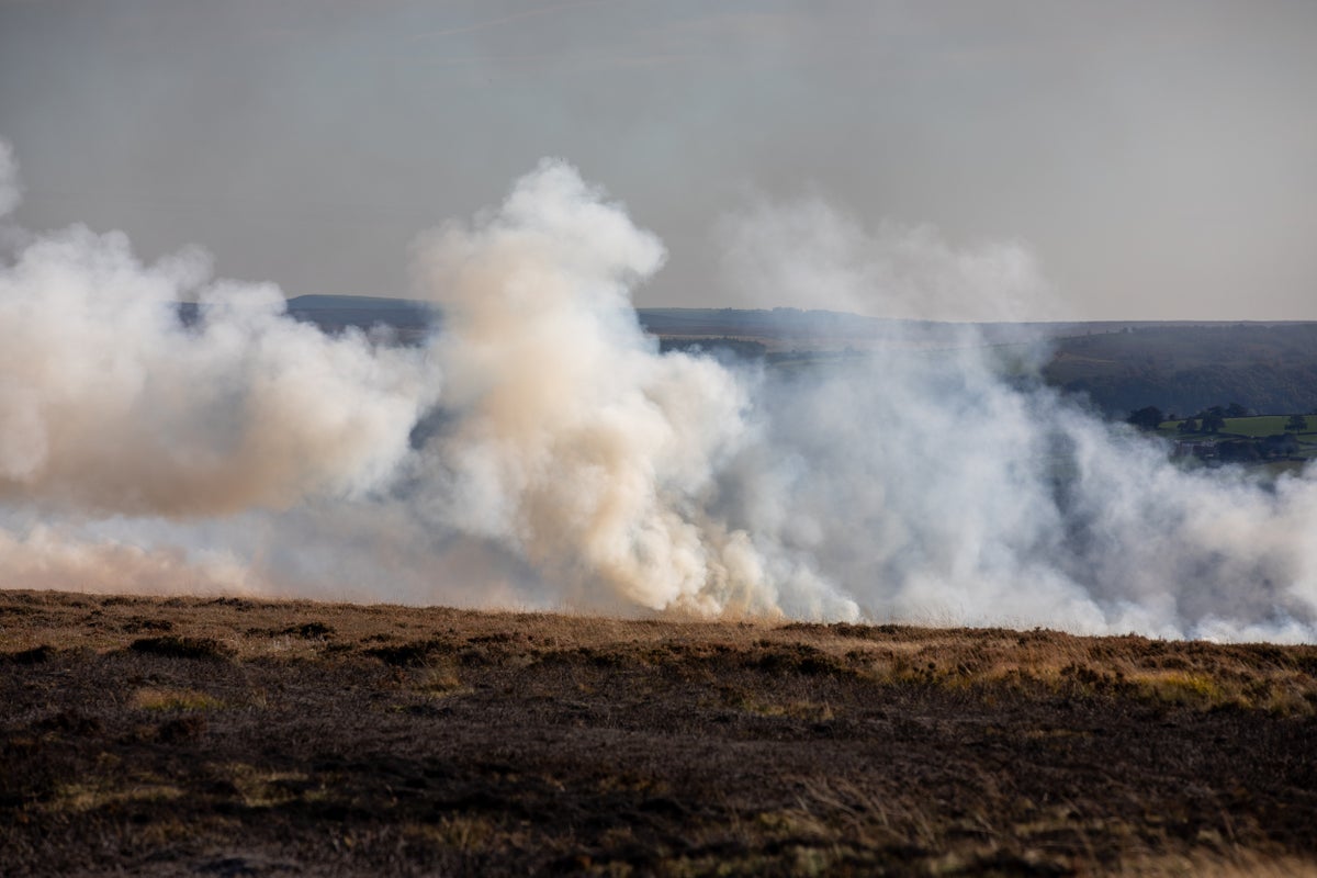 England’s ‘rainforests’: officials investigate reports of burning protected peat