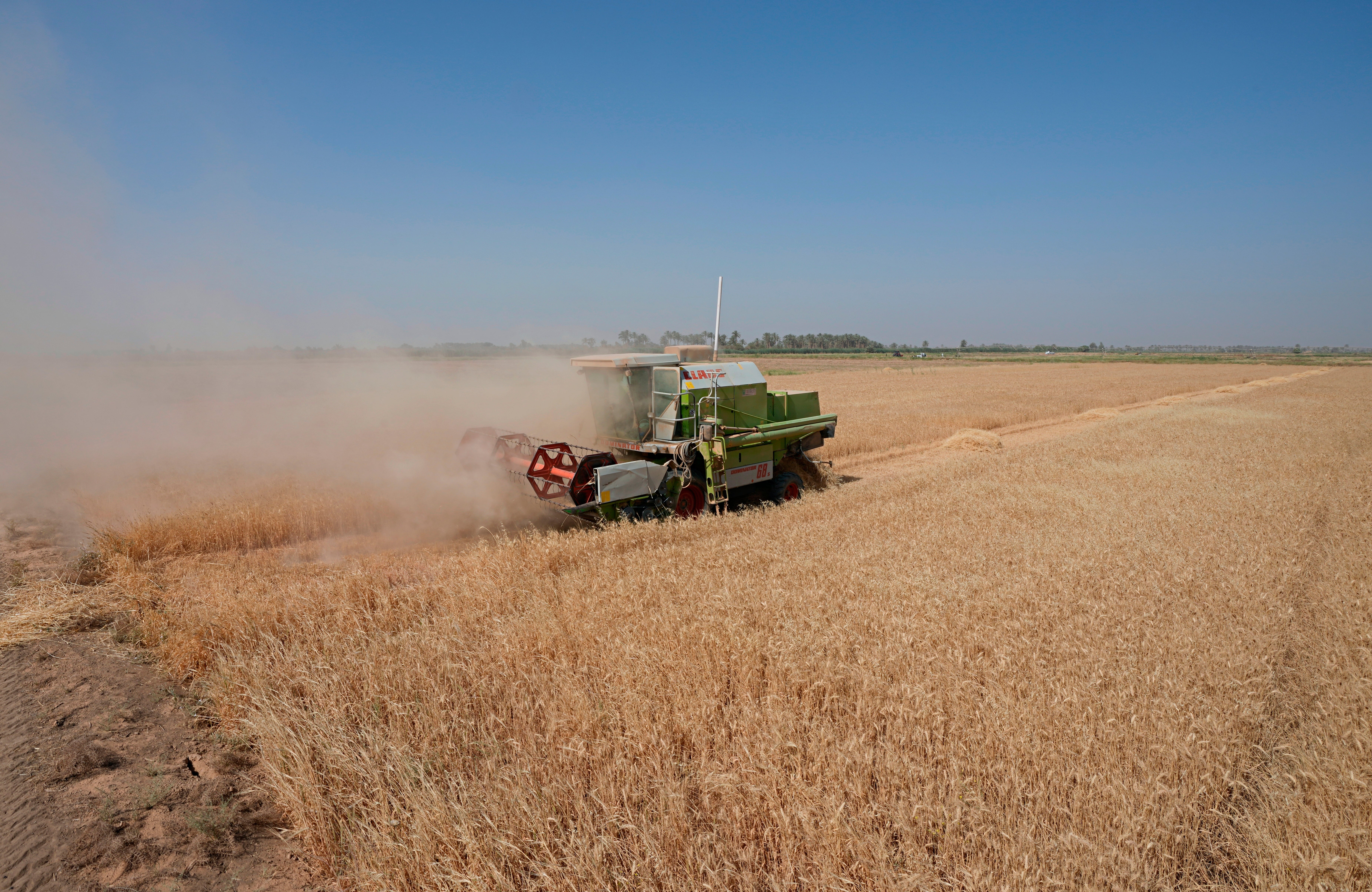 A combine harvester at the middle of a wheat field