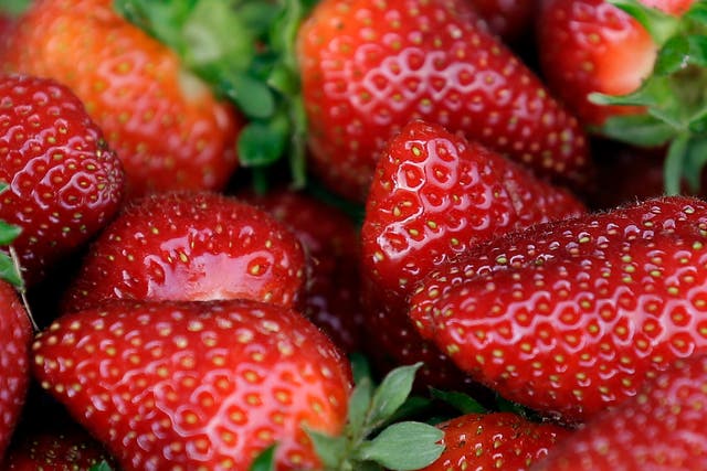Hepatitis Outbreak Strawberries