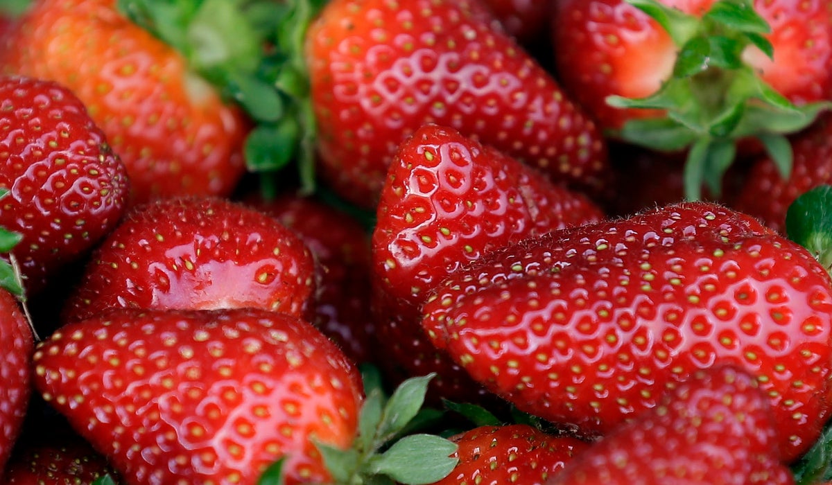 US, Canadian regulators tie hepatitis cases to strawberries