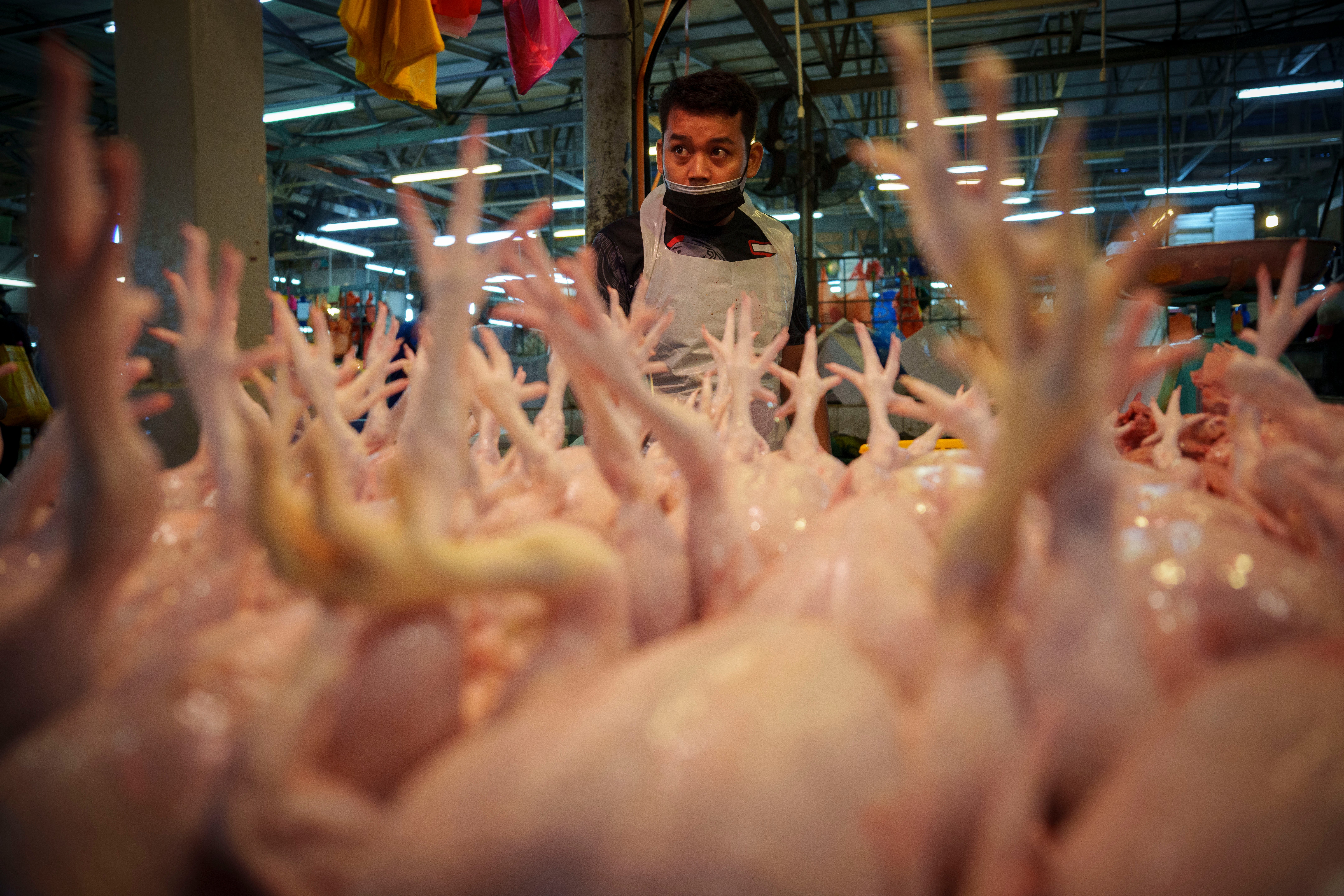 Malaysia Chicken Export Ban