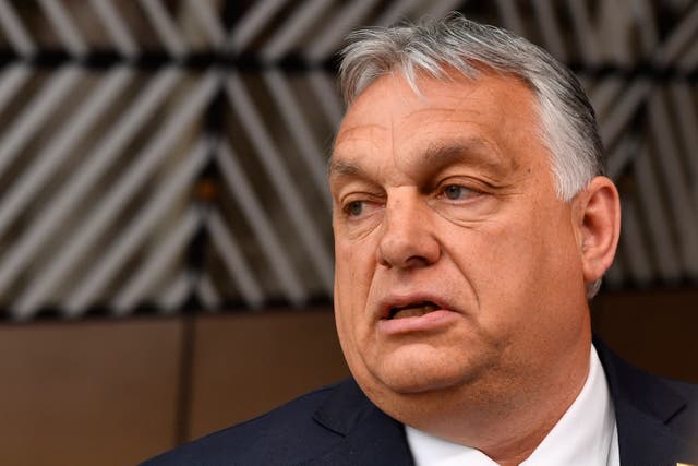 <p>Hungarian prime minister Viktor Orban </p>