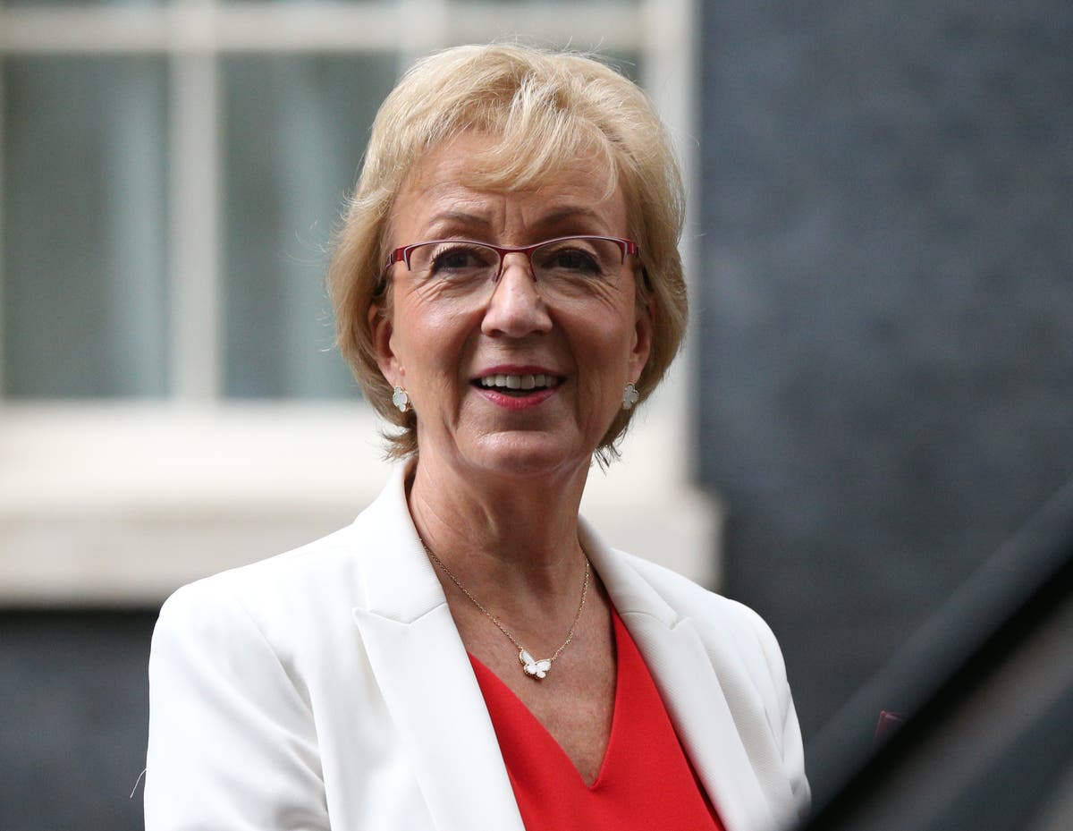 Leadsom accuses Johnson of &lsquo;unacceptable failings of leadership&rsquo;