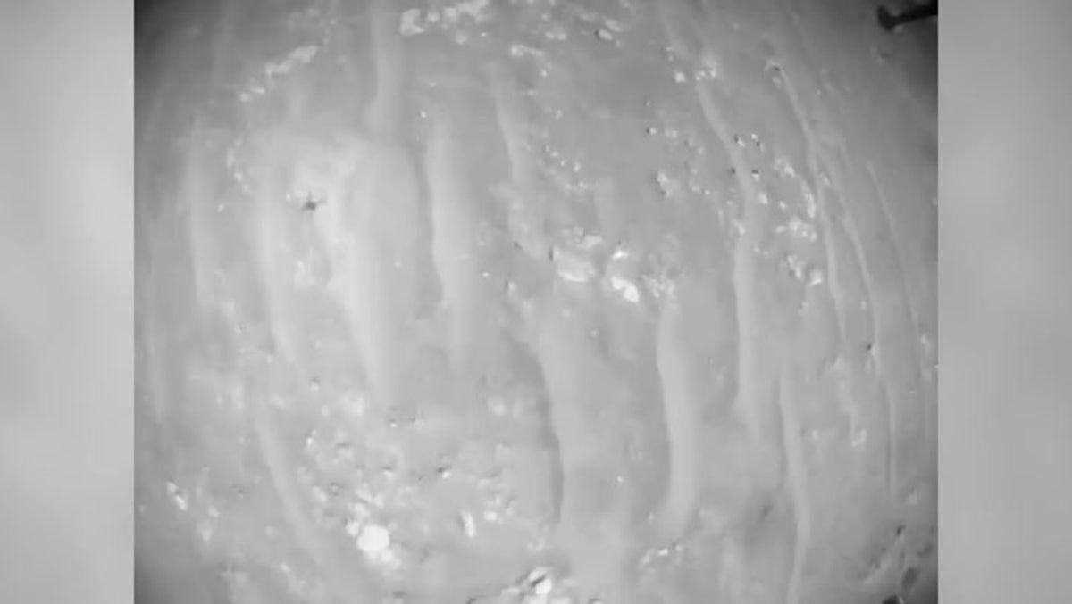 Nasa video captures helicopter flying on Mars marking milestone for Red Planet exploration