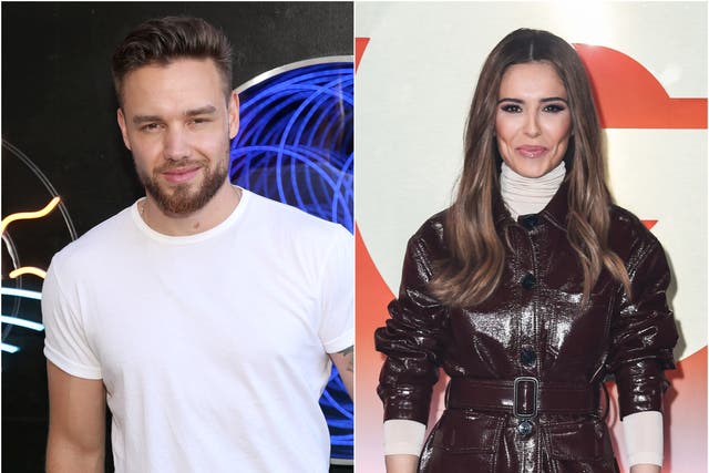 <p>Liam Payne and Cheryl Cole share a five-year-old son named Bear</p>