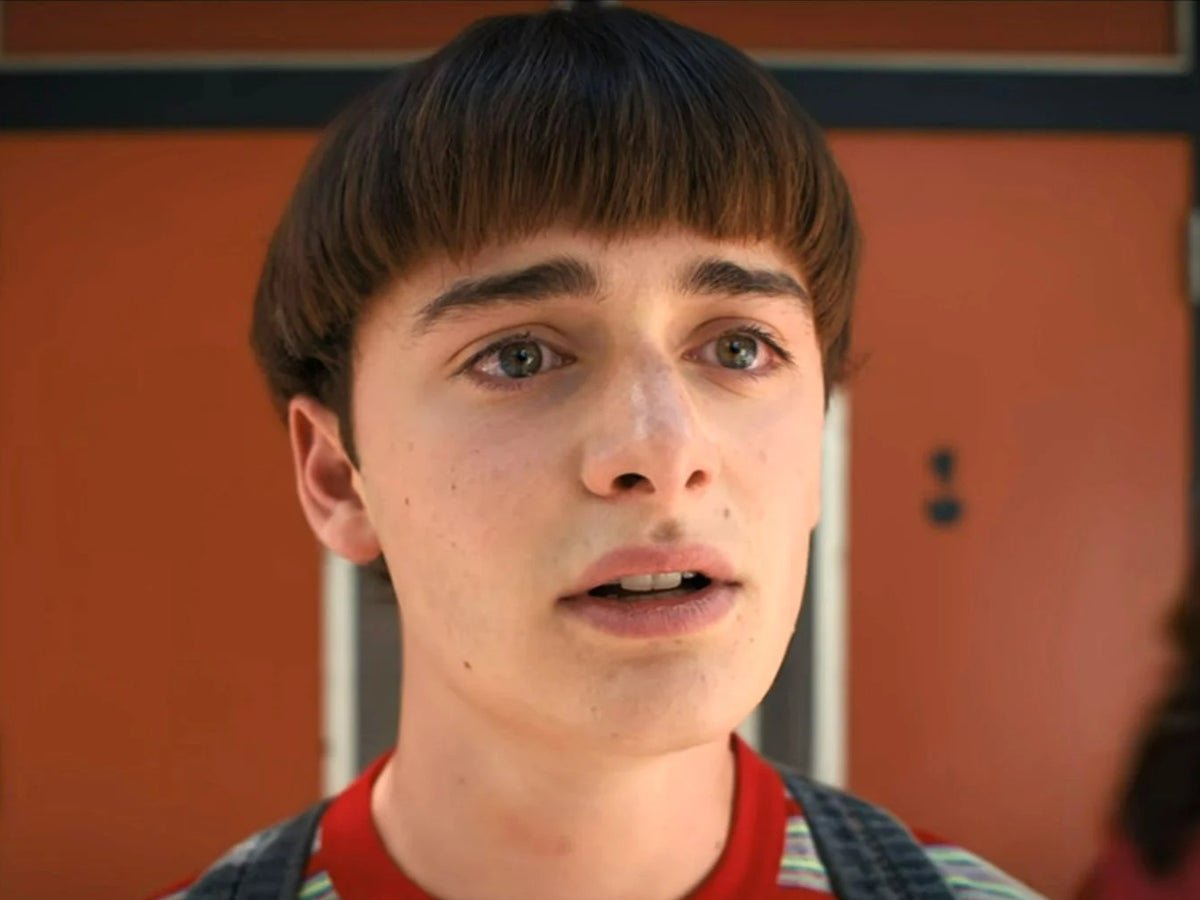 Does Will Byers come out as gay in Stranger Things 4? Here's what he says  to Mike in - PopBuzz