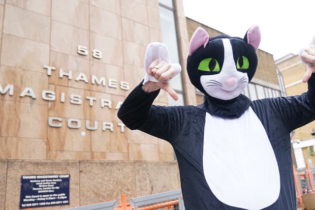 <p>A person dressed as a cat outside Thames Magistrates’ Court (Yui Mok/PA)</p>