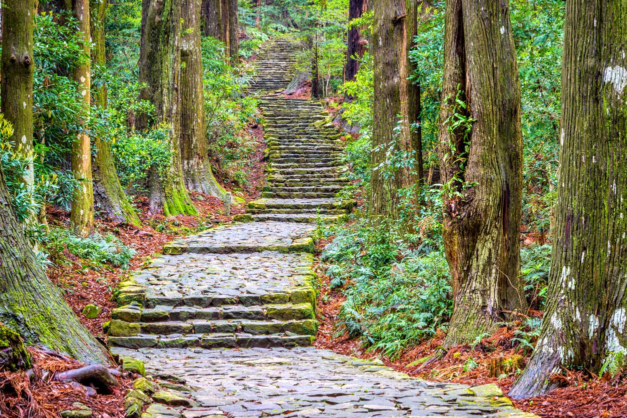 The Kumano Kodo trail