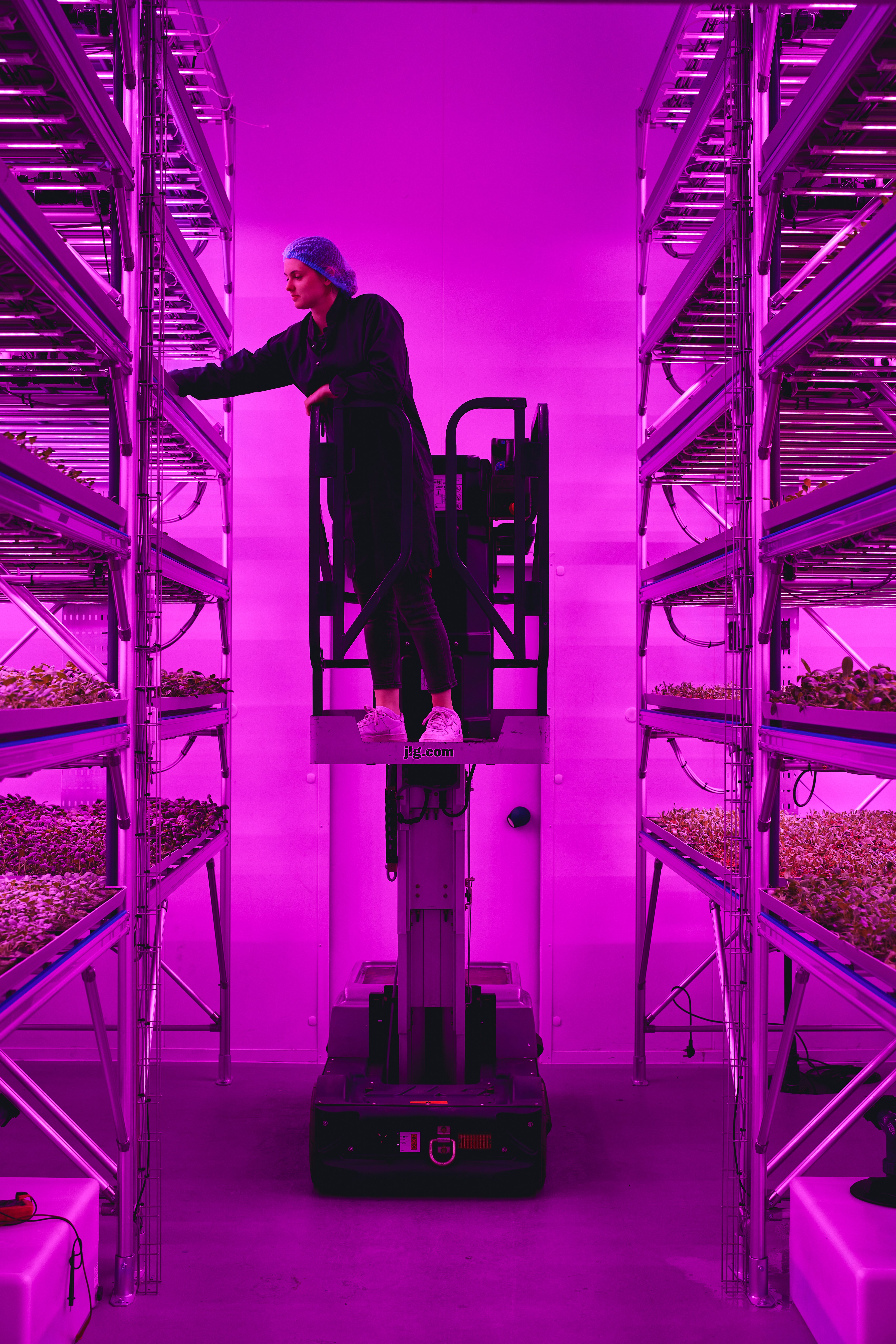 A vertical farm is essentially layers of plants growing on trays, stacked vertically with pipes delivering water, feed and nutrients to the plants, the company said