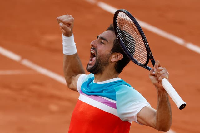 Marin Cilic reached the semi-finals (Jean-Francois Badias/AP)