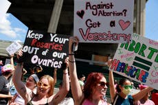 Abortion providers and advocates sue Florida over state’s ‘dangerous’ 15-week ban