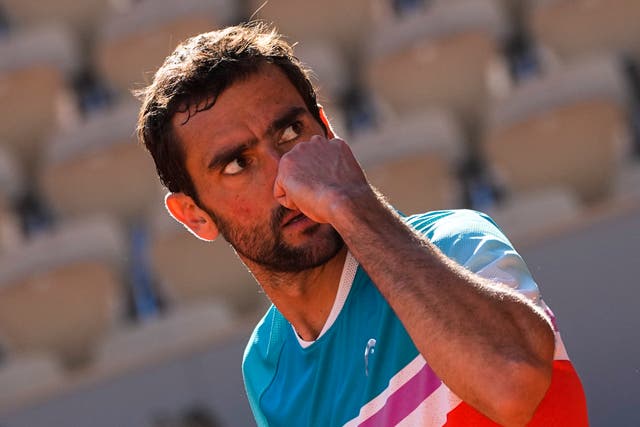 Marin Cilic fought through to the semi-finals (AP Photo/Michel Euler)