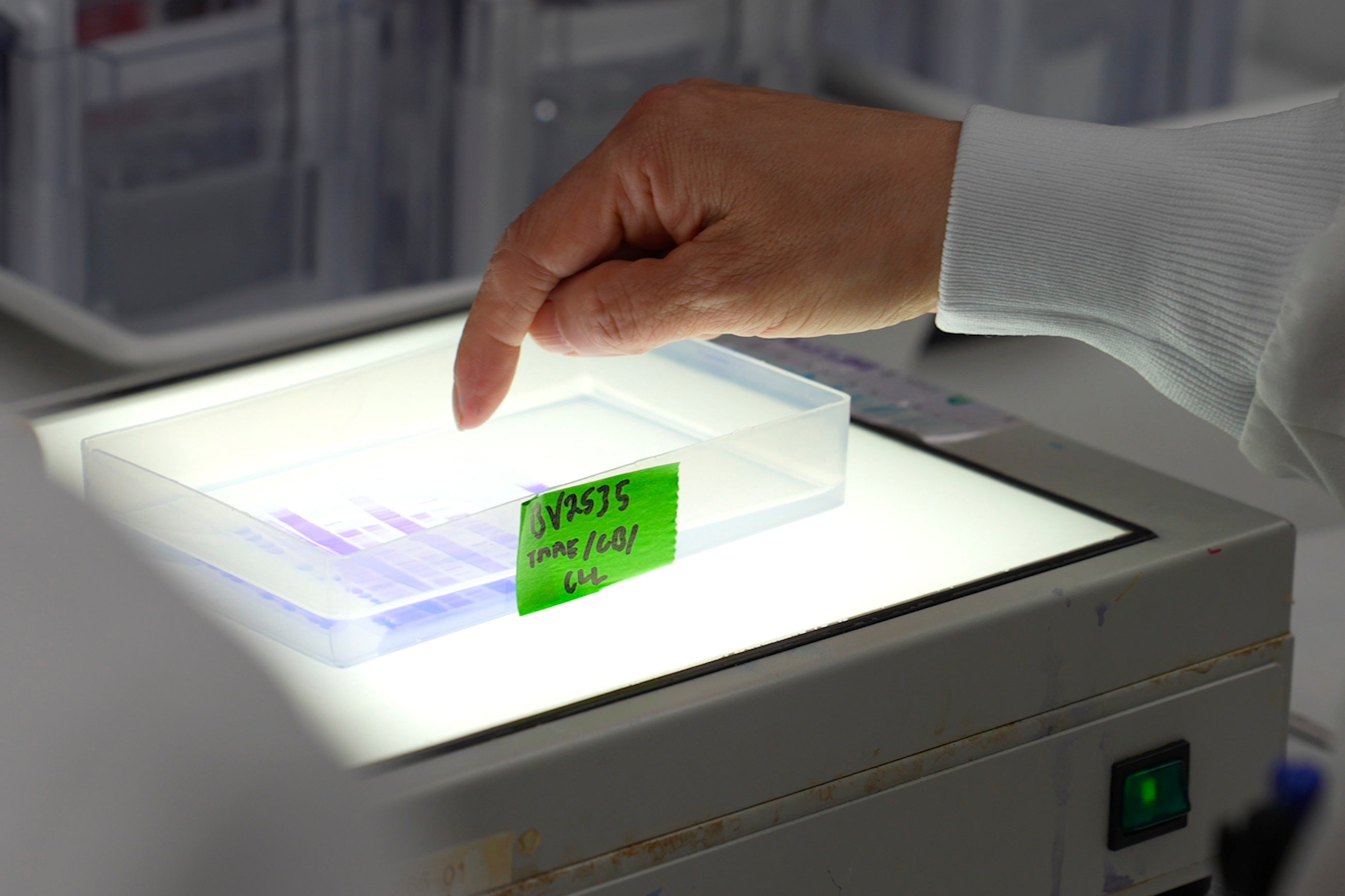 Virus Outbreak-Novavax