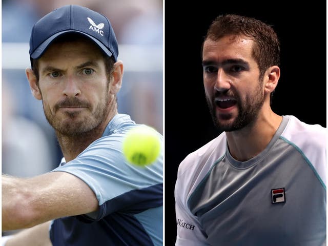<p>Andy Murray and Marin Cilic</p>