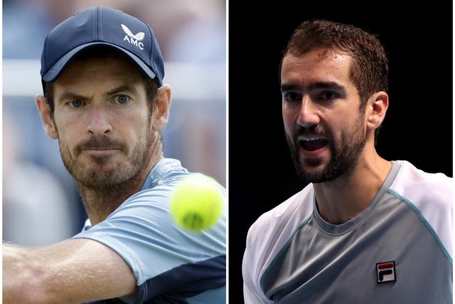 <p>Andy Murray and Marin Cilic</p>