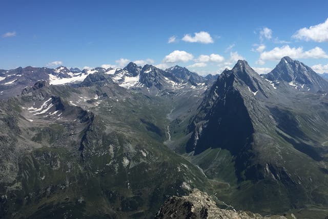 Los datos satelitales muestran que los Alpes se han vuelto más verdes con el tiempo en respuesta a la crisis climática.