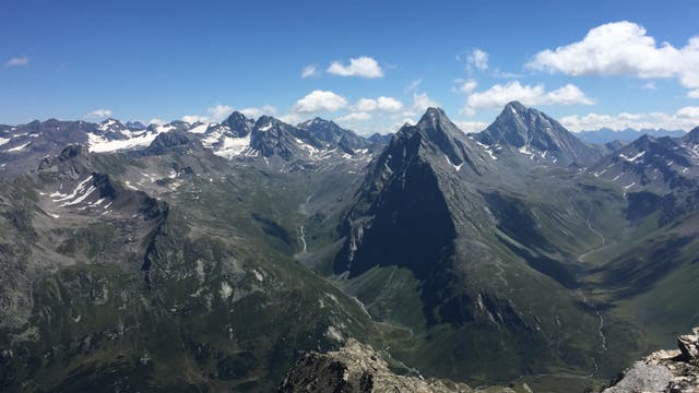 Los datos satelitales muestran que los Alpes se han vuelto más verdes con el tiempo en respuesta a la crisis climática.