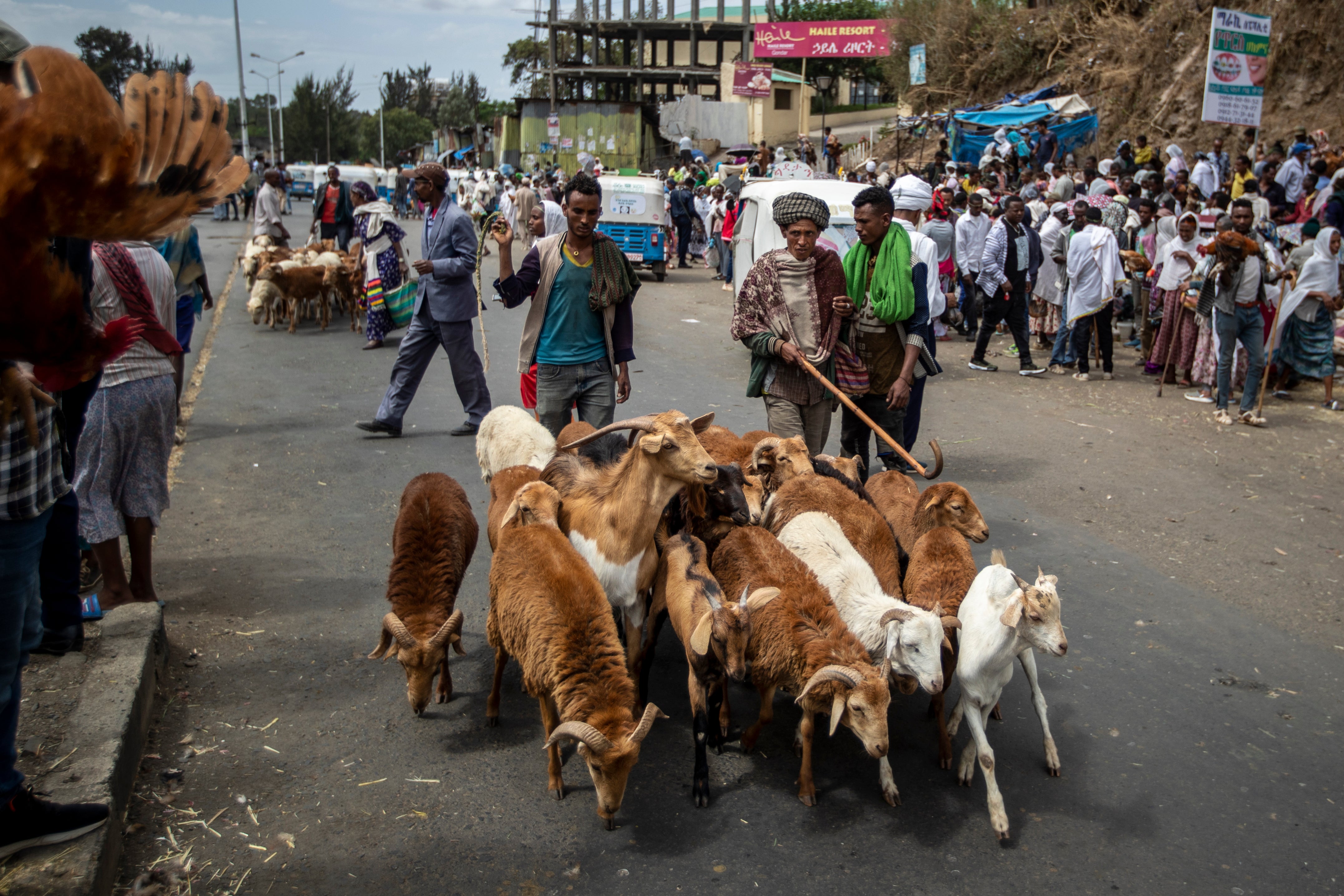 Ethiopia Mass Arrests
