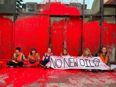 Who are Just Stop Oil? The climate protestors blocking the Dartford Crossing