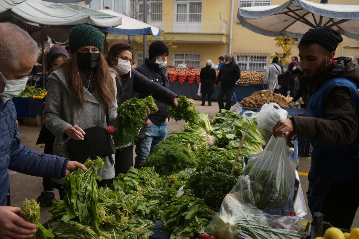 Data puts Turkey's annual inflation at 73.5%, a 24-year high | The ...