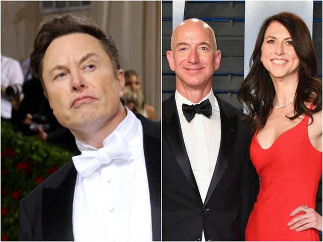 <p>Elon Musk has suggested that Mackenzie Scott, the ex-wife of Amazon founder Jeff Bezos, has influence over the Democratic Party</p>
