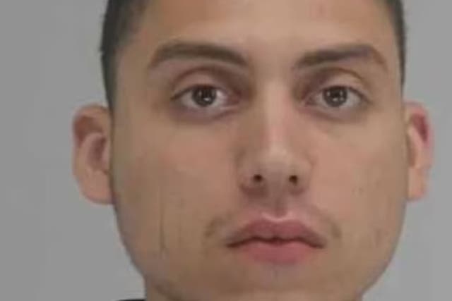 <p>Brian Hernandez, 21, was arrested after allegedly destroying an estimated $5m worth of Greek and Native American artifacts at the Dallas Museum of Art. </p>