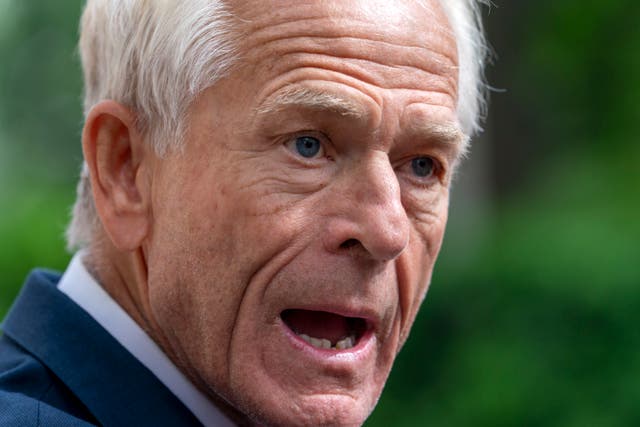 <p>Peter Navarro said legal fees would wipe out his retirement savings </p>
