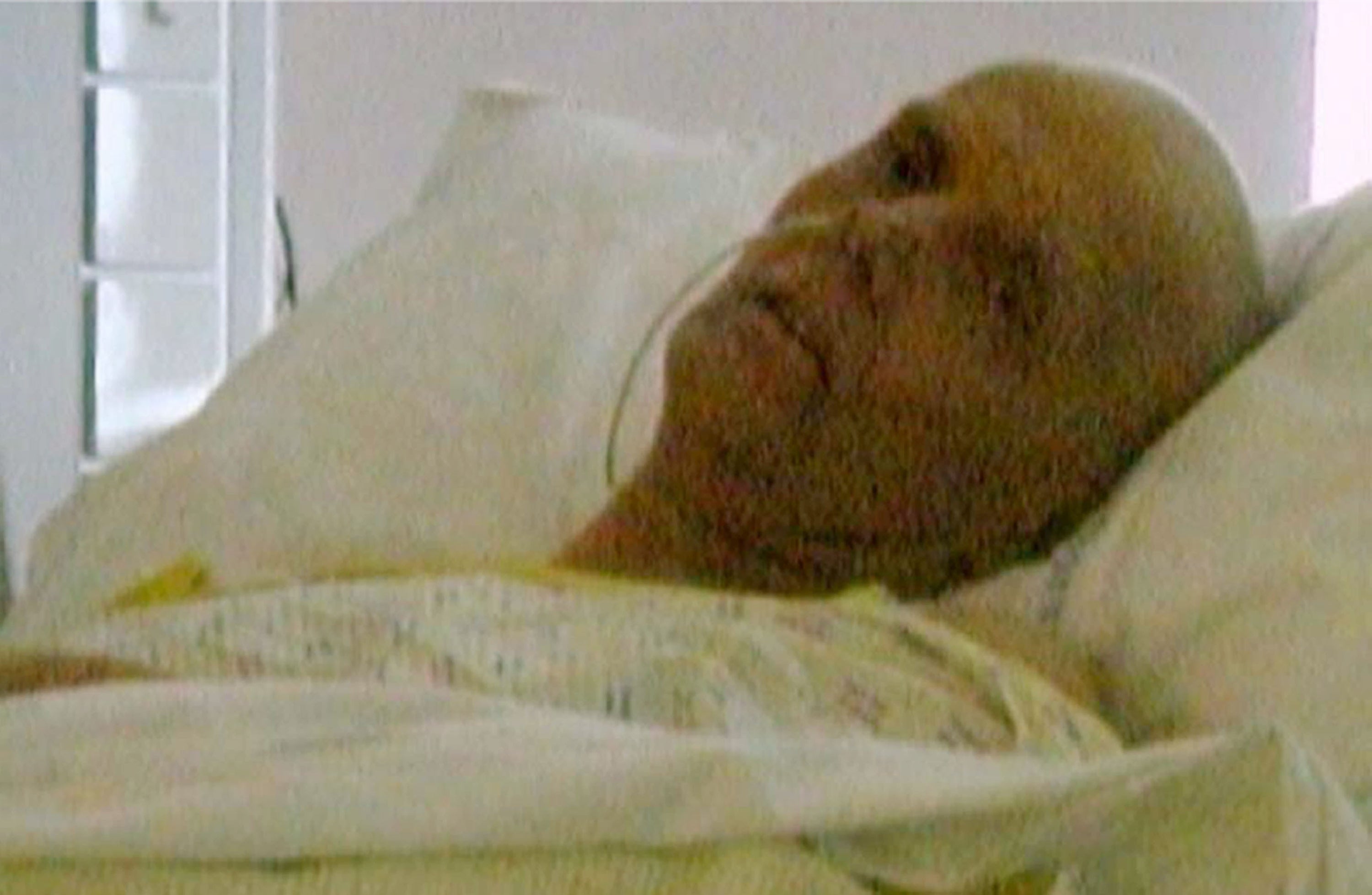 The last photo taken of poisoned spy Alexander Litvinenko as he lay in hospital