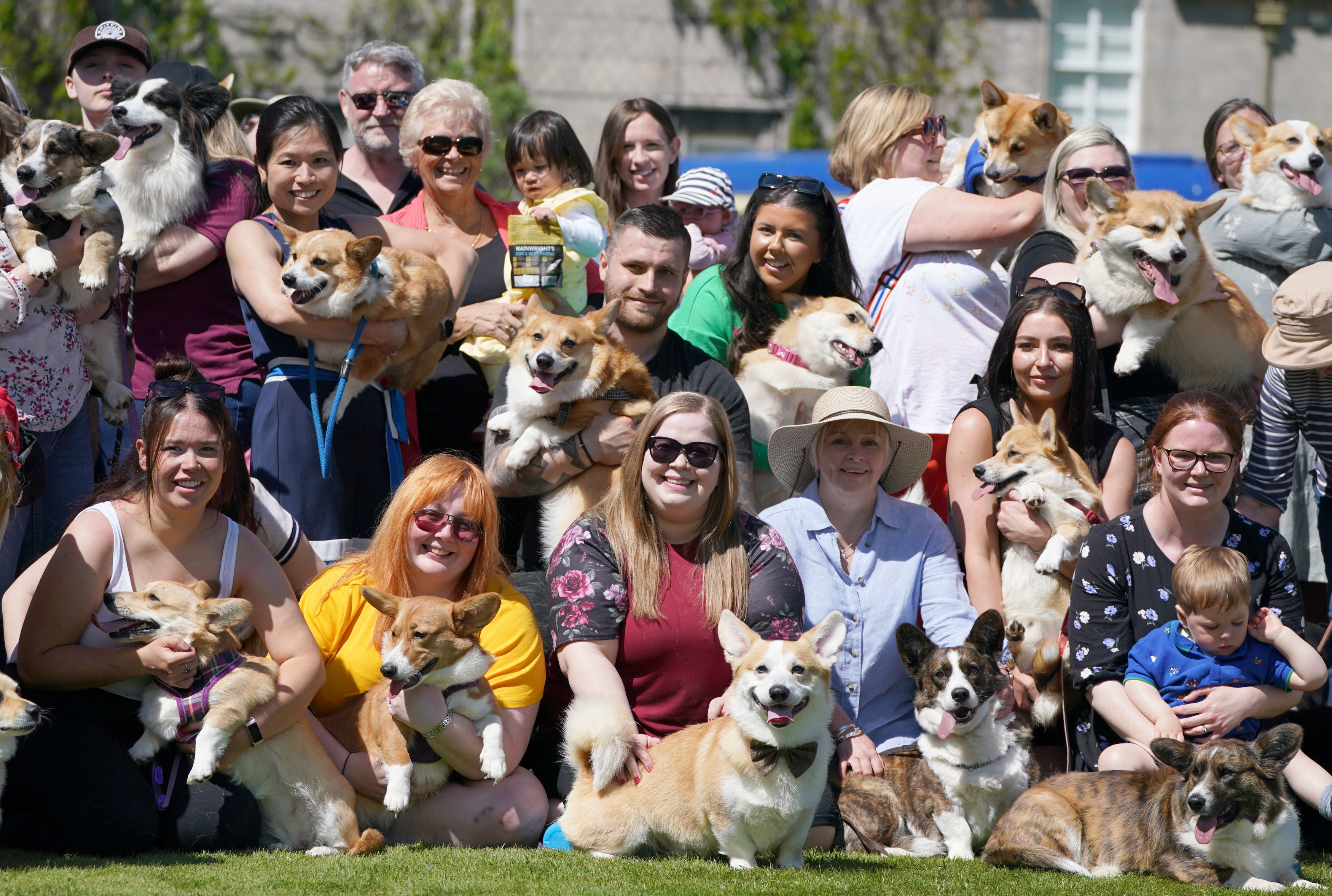 70 corgis posed on the front lawn at Balmoral during an event with the Corgi Society of Scotland to mark Queen Elizabeth II's Platinum Jubilee