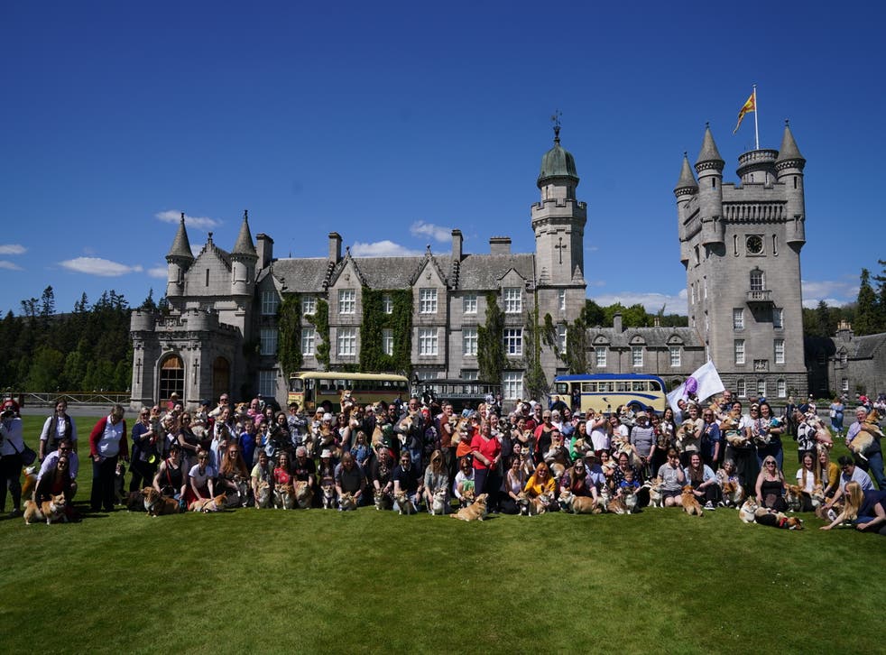 Corgis gathered on the lawn at Balmoral Castle (Andrew Milligan/PA)