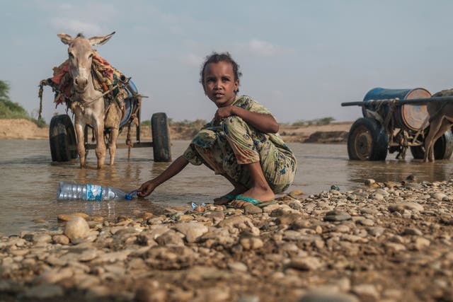 <p>A girl collects water with a bottle in the Shabelle river in Gode, Ethiopia in April. The worst drought to hit the Horn of Africa for 40 years is pushing 20 million people towards starvation</p>