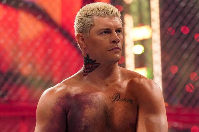 <p>Cody Rhodes displayed his serious pectoral injury at Hell in a Cell</p>