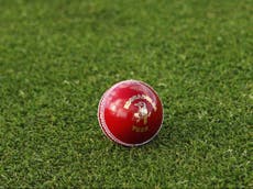 India vs Nepal LIVE: Cricket score and updates from Men's Asian Games