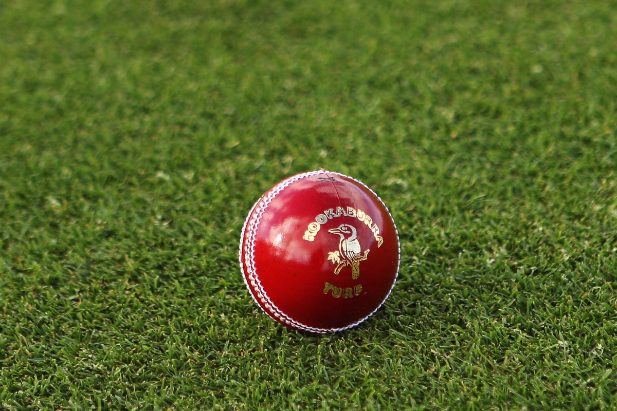 Follow live updates from India vs New Zealand