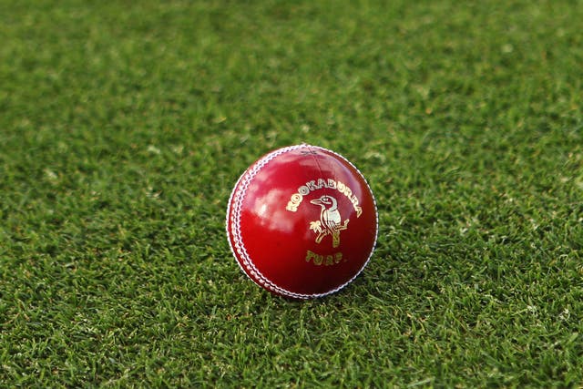 A general view of a cricket ball