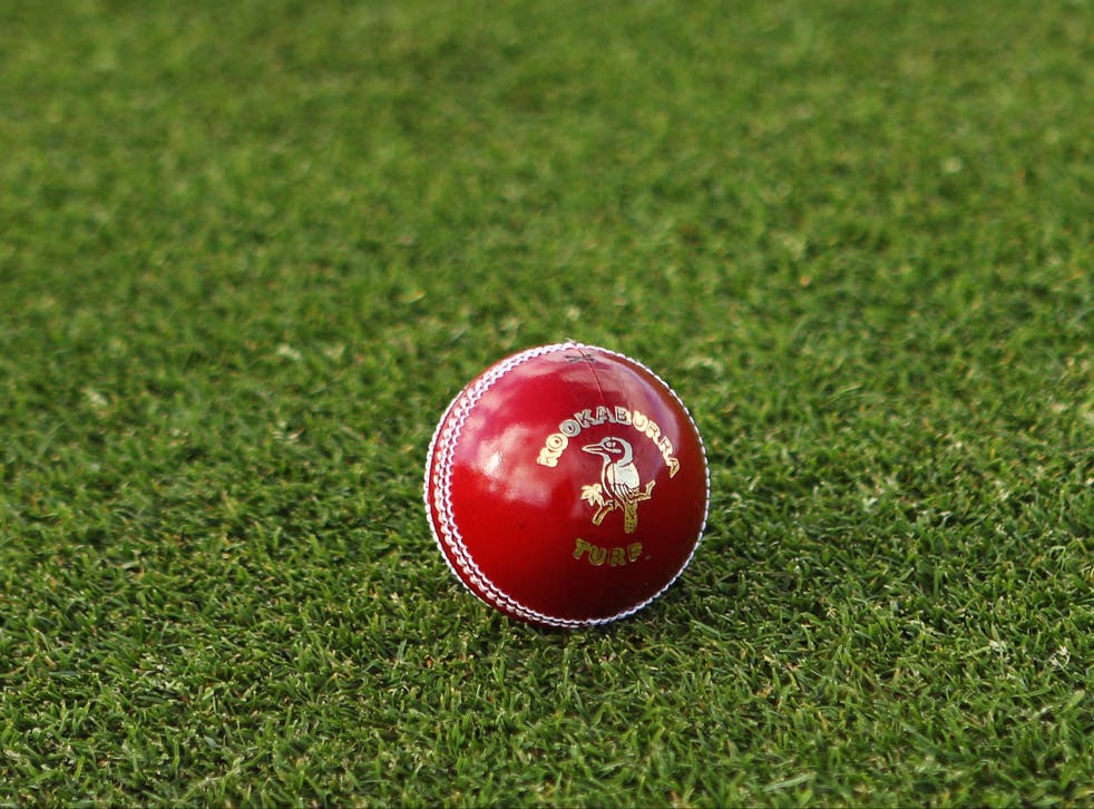 General view of a cricket ball