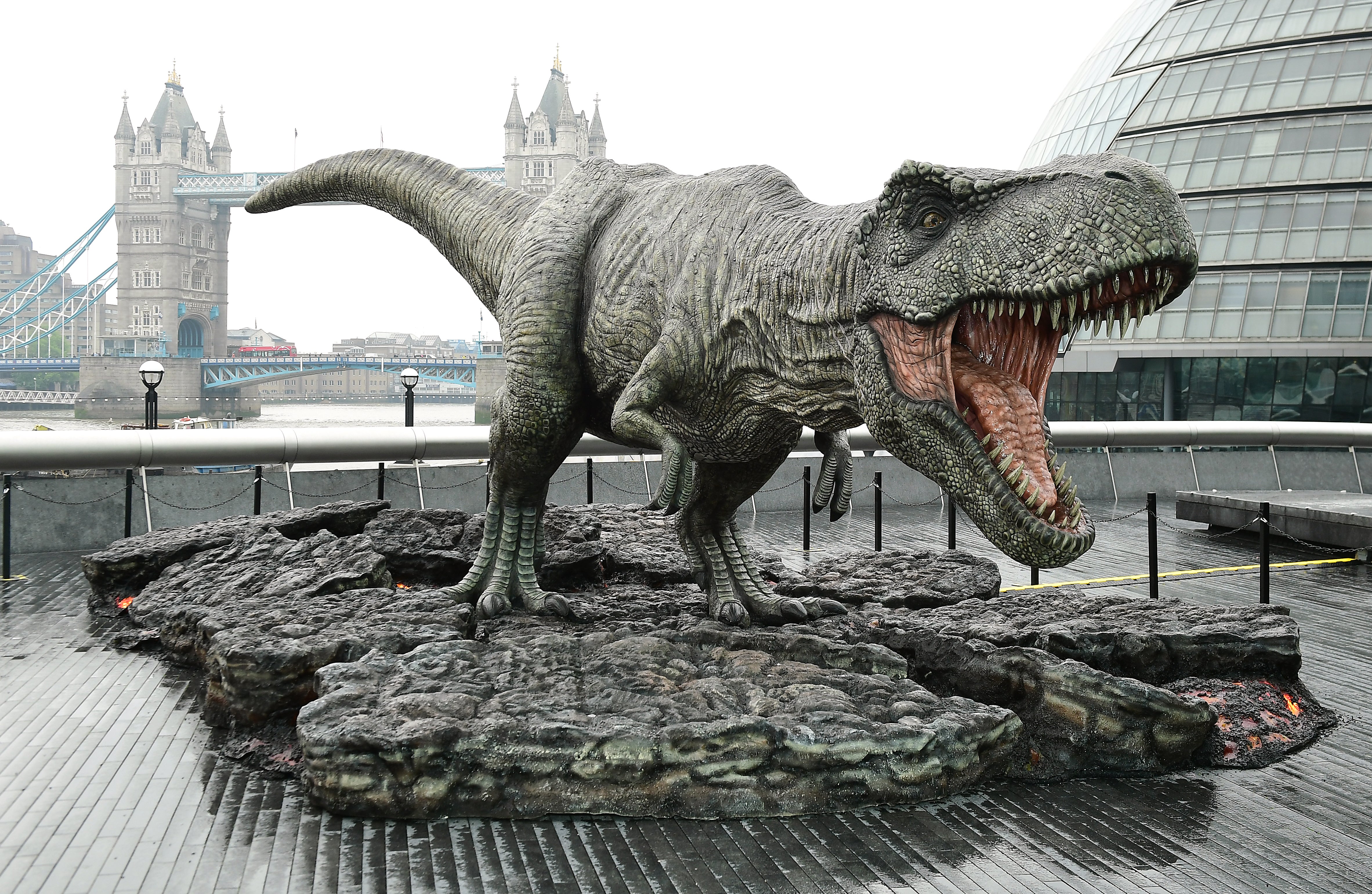 <p>One of the young stars of the original Jurassic Park film says it has been ‘surreal’ to see the progress of the franchise over the years, as she was reunited with her former co-stars almost 30 years later (Ian West/PA)</p>