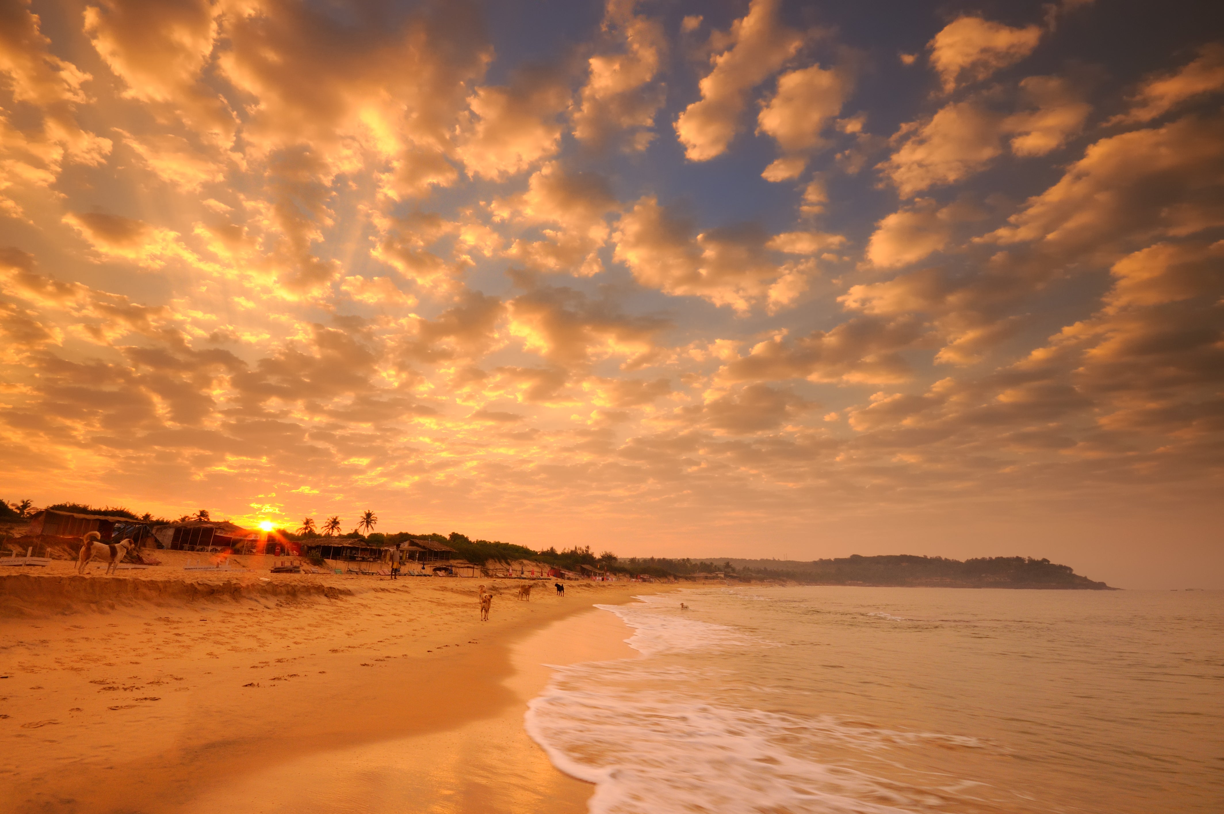 Goa is a popular holiday destination for Britons