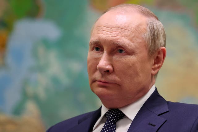 <p>Russian president Vladimir Putin  </p>