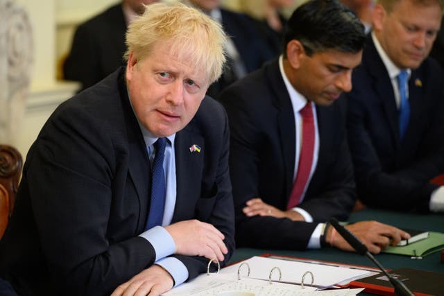 Prime Minister Boris Johnson chairs a Cabinet meeting at 10 Downing Street (Leon Neal/PA)