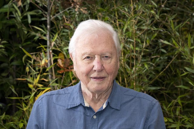 Sir David Attenborough is receiving his Knight Grand Cross honour at Windsor Castle (Jane Barlow/PA)
