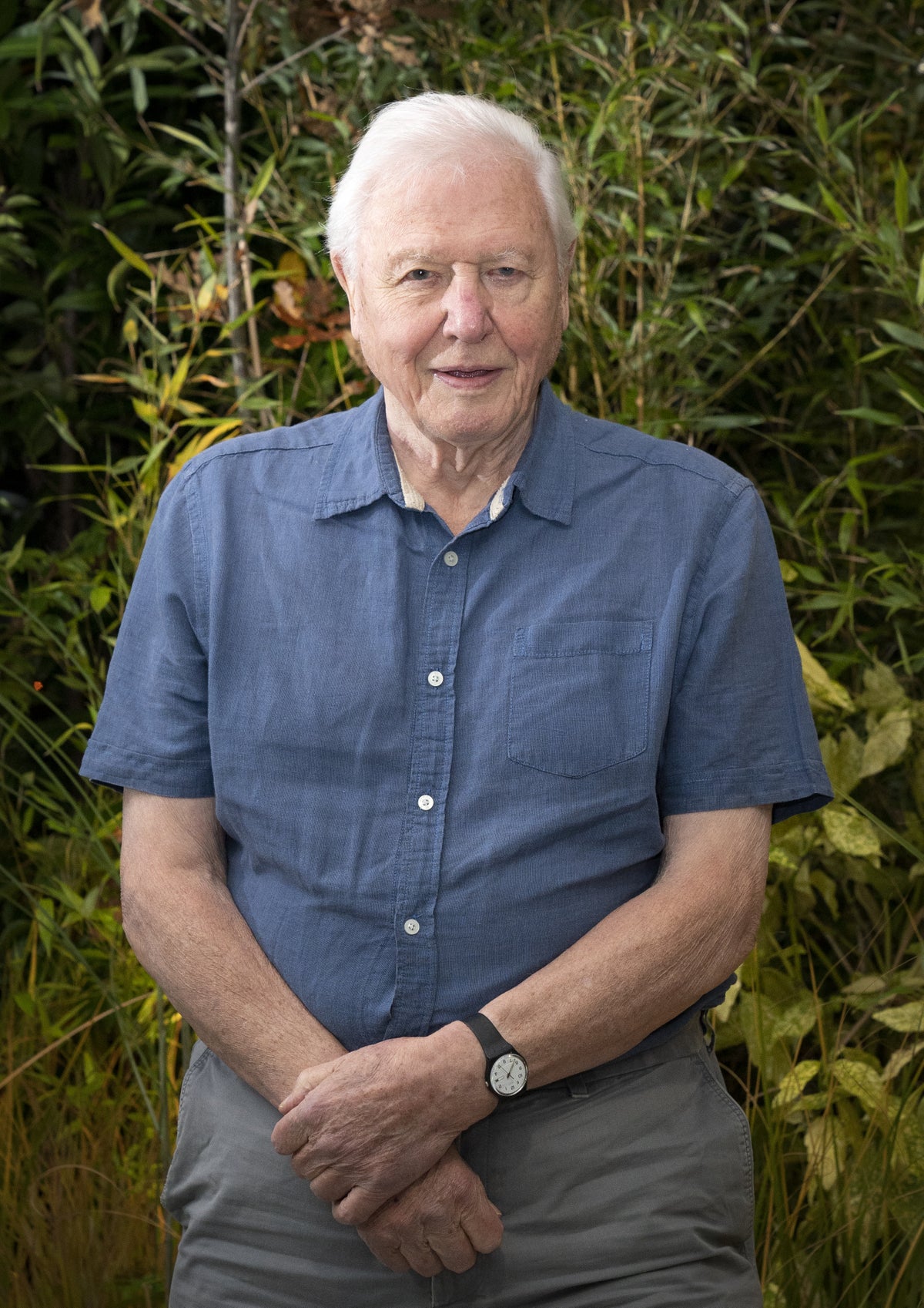Charles to appoint Sir David Attenborough as Knight Grand Cross