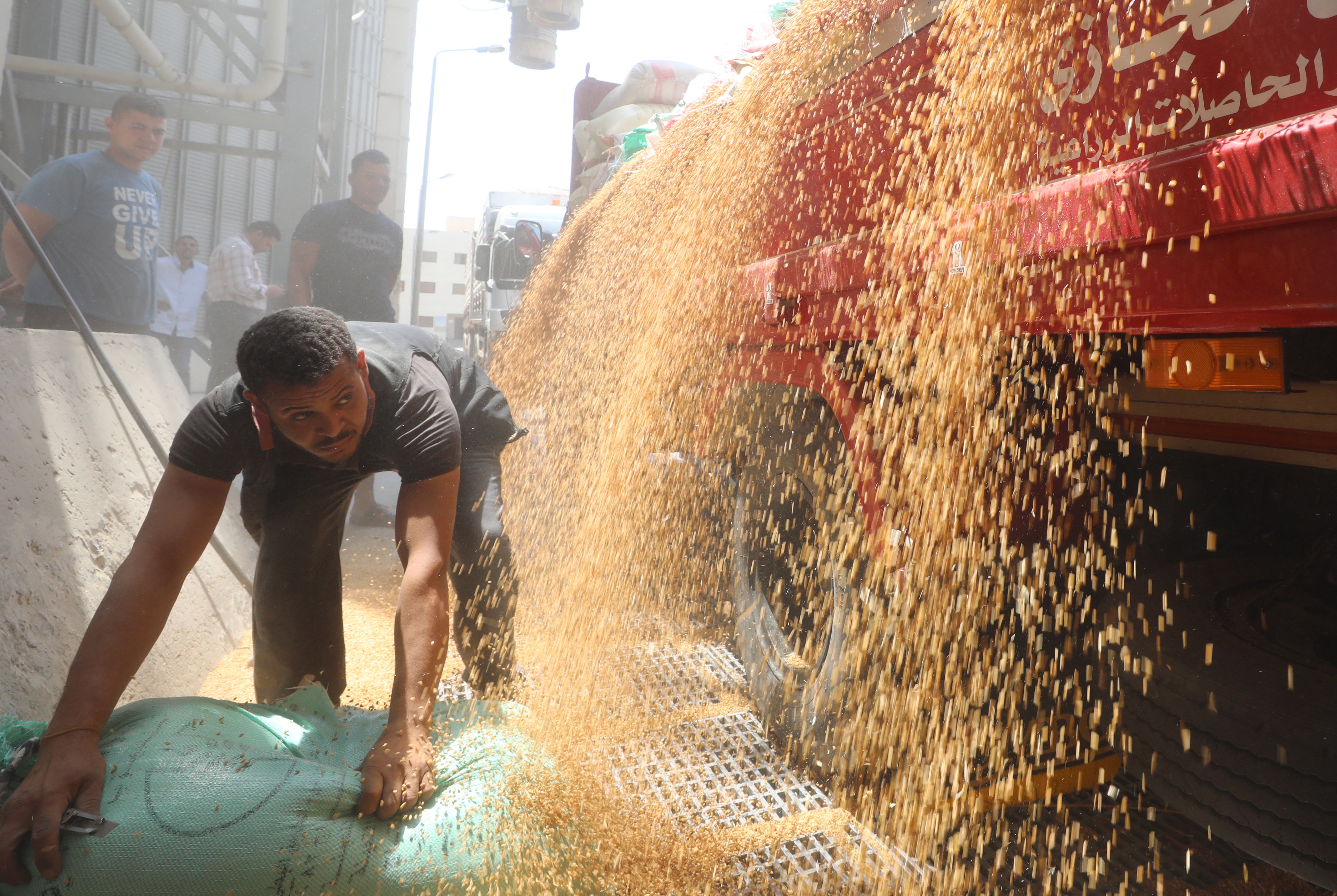 Workers unload wheat at grain silos in Egypt. Egypt is the largest importer of wheat in the world and has been forced by the war in Ukraine to radically change its strategy and now relies on the local harvest