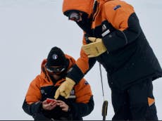 First evidence of microplastics in freshly fallen Antarctic snow
